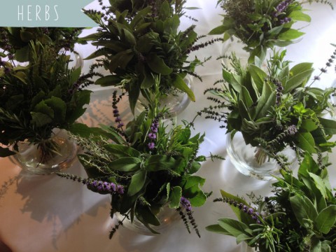 Photographer Christine Meintjes