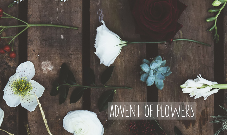 advent of flowers 3